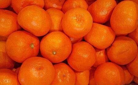 小原紅早生みかん 約5kg（約30～60個）