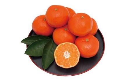 小原紅早生みかん 約5kg（約30～60個）