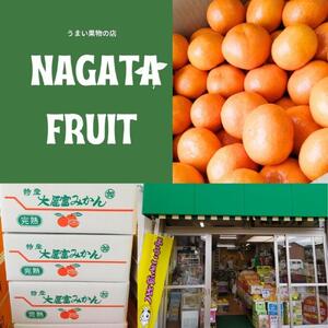 坂出特産みかん 約5kg入り(SまたはMサイズ)