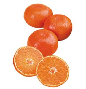 <2025年12月発送>坂出ふれあい産直市の小原紅早生 約5kg(箱)