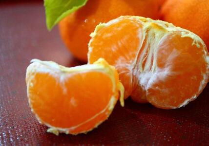 小原紅早生みかん(露地)約4.5kg