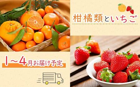 【お歳暮ギフト/化粧箱・熨斗対応】旬を見極めた厳選フルーツ詰め合わせ 【満月セット】（5～8品種）