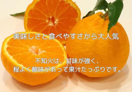 ハウス不知火　約2.7kg