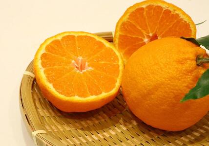 ハウス不知火　約2.7kg