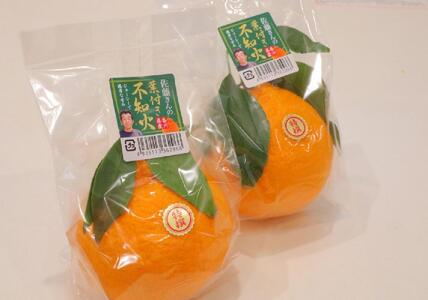 ハウス不知火　約2.7kg