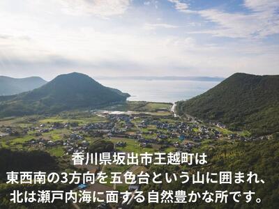 レモンスーン6本セット