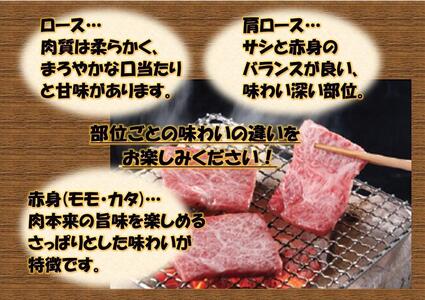 オリーブ牛 赤身焼肉用 500g