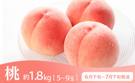 坂出市 旬のフルーツを味わう3回 定期便