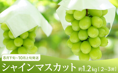 坂出市 旬のフルーツを味わう3回 定期便