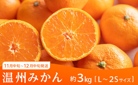 坂出市 旬のフルーツを味わう3回 定期便