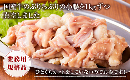 《業務用・訳アリ》国産牛 小腸 1kg