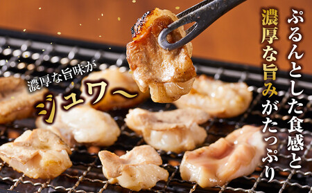 《業務用・訳アリ》国産牛 小腸 1kg