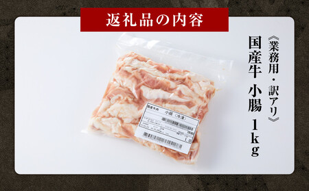 《業務用・訳アリ》国産牛 小腸 1kg