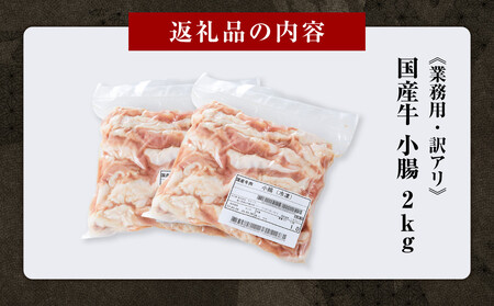 《業務用・訳アリ》国産牛 小腸 2kg