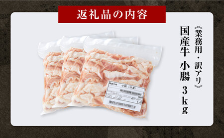 《業務用・訳アリ》国産牛 小腸 3kg