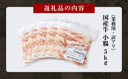 《業務用・訳アリ》国産牛 小腸 5kg