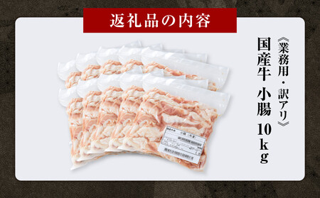 《業務用・訳アリ》国産牛 小腸 10kg