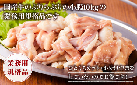 《完全業務用》国産牛 小腸 10kg