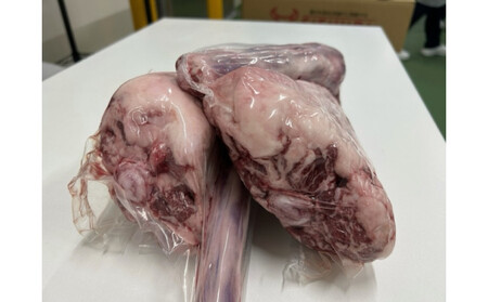 国産牛 テール 丸々1本(約1~2kg)