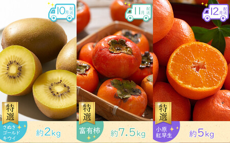 【全12回】《プレミアム等級選果実！》坂出市四季のオススメ！旬果実単品定期便♪