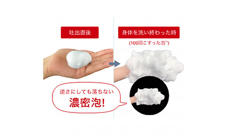 hadakara（ハダカラ）ボディソープ　泡で出てくるタイプ　クリーミーソープの香り　詰替え750ml 3袋パック | ボディソープ