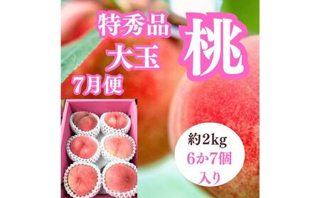 【2026年度先行予約】【定期便3回】夏の美味しい果物