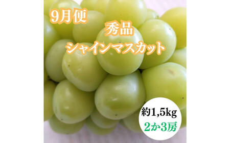 【2026年度先行予約】【定期便3回】夏の美味しい果物