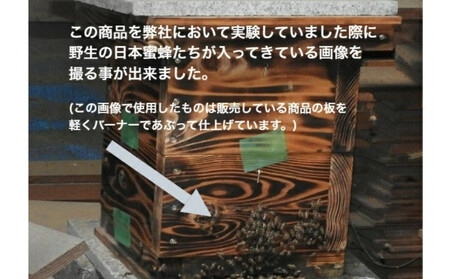天然杉材を使った自分で組み立てるミツバチ巣箱(胴体部)
