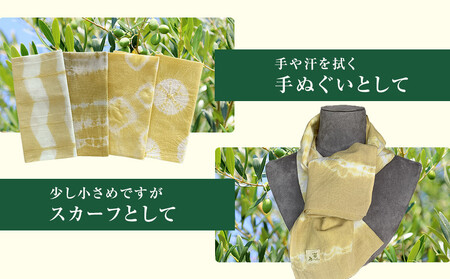 オリーブ染め手ぬぐい　２枚セット
