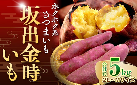 <2026年8月下旬以降発送・先行予約>ホクホク系さつまいも「坂出金時いも」 約5kg| サツマイモ