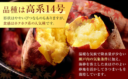 <2026年8月下旬以降発送・先行予約>ホクホク系さつまいも「坂出金時いも」 約5kg| サツマイモ