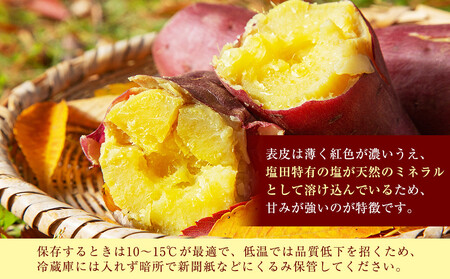 <2026年8月下旬以降発送・先行予約>ホクホク系さつまいも「坂出金時いも」 約5kg| サツマイモ