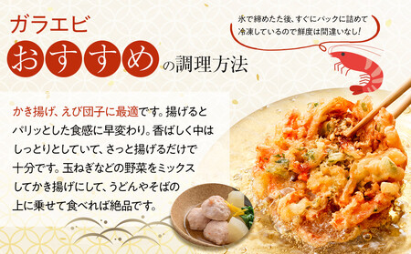 櫃石島産ガラエビ（大エビ）約1kg　【500ｇ×2パック】