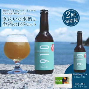 【全2回発送】きれいな水槽と至福の1杯セット1（【1回目】はクラフト発泡酒「９１０」330 ml × 2本 【2回目】は人工海水SEALIFE　250L用×2袋　をお届け）