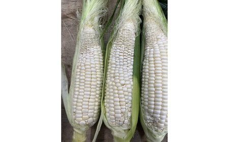 ご家庭用細物ホワイトコーン 約3.5kg×2