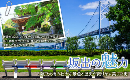 【全12回】坂出市　オールスター定期便