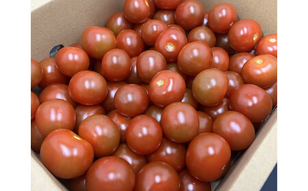 訳ありミニトマト 約3kg