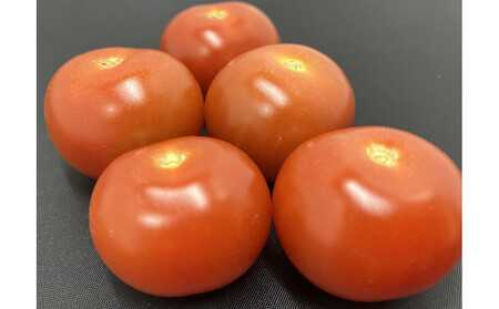 訳ありミニトマト 約3kg