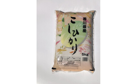 令和7年度　香川県産コシヒカリ5kg