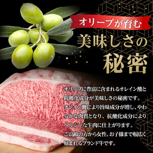 【父の日ギフト】牛肉 オリーブ牛 ロース ステーキ 1kg （3枚）【化粧箱入り】【配送不可：離島】