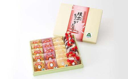 坂出ものがたり【B】