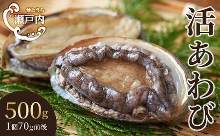瀬戸内あわび（活）500g（1個70ｇ前後） | あわび 養殖 人気 香川 あわび 美味しい グルメ 海鮮 あわび 貝 人気 あわび 養殖 香川 四国 瀬戸内海