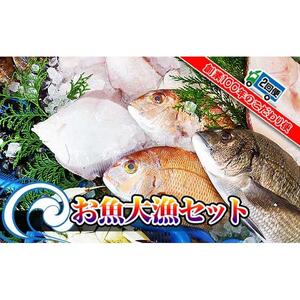 【定期便2回】創業100年の魚屋さんが選び抜いた旨い鮮魚直送便～