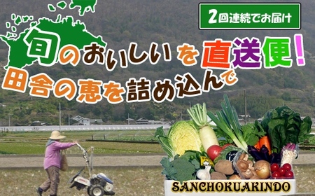 〈定期便2回〉創業100年!老舗の八百屋がチョイスした厳選やさいと旬の果物の詰め合わせ