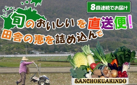 〈定期便8回〉創業100年!老舗の八百屋がチョイスした厳選やさいと旬の果物の詰め合わせ