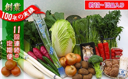 〈定期便11回〉創業100年！老舗の八百屋がチョイスした厳選やさいと旬の果物の詰め合わせ