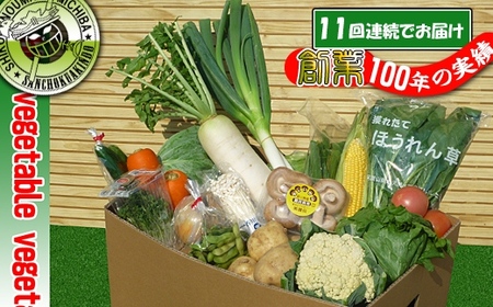 〈定期便11回〉創業100年！老舗の八百屋がチョイスした厳選やさいと旬の果物の詰め合わせ