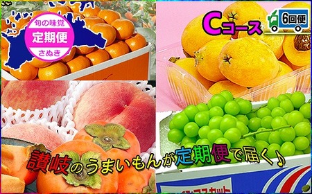 坂出産のフルーツとさぬきの特産品の定期便6回【Cコース】