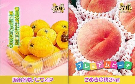 坂出産のフルーツとさぬきの特産品の定期便6回【Cコース】