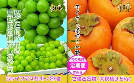 坂出産のフルーツとさぬきの特産品の定期便7回【Bコース】
